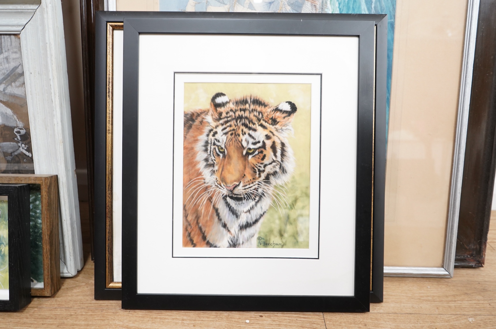 Kevin Mullins, Study of a Serval, watercolour on paper, monogrammed together with three other studies of big cats to include one by V. Beecham and one initialled BB, largest 36 x 19cm